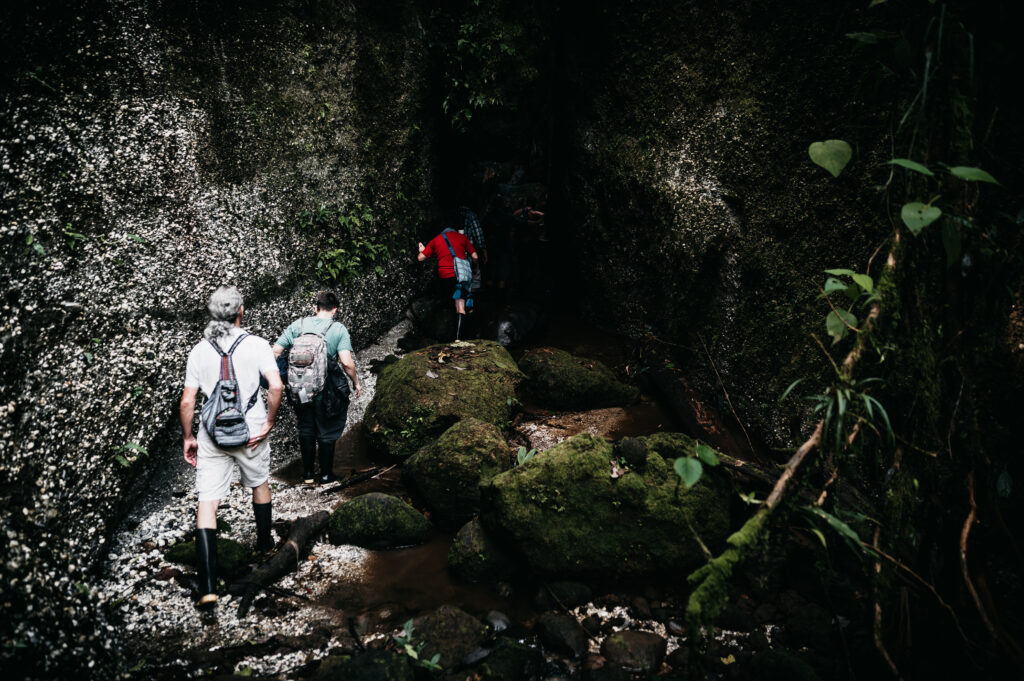 Shaman Ayahuasca Retreat,ayahuasca ecuador reviews